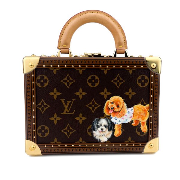 Louis Vuitton Valigia piccola Louis Vuitton Petit Valise