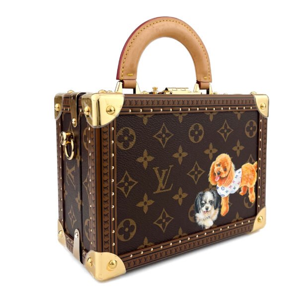 Louis Vuitton Valigia piccola Louis Vuitton Petit Valise