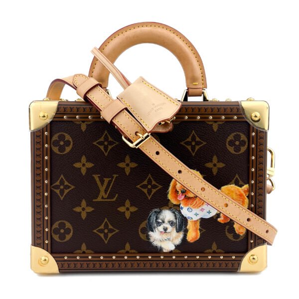 Louis Vuitton Valigia piccola Louis Vuitton Petit Valise